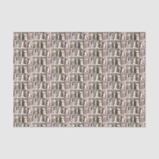 Vintage Wedding Braut und Groom Blush Pink Seidenpapier (Vorderseite)