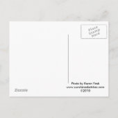 Vintage Wedding Cake Topper Postkarte (Rückseite)