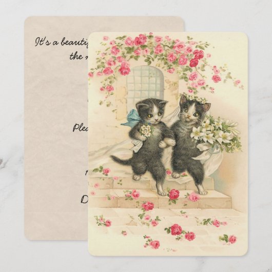 Vintage Wedding Kittens Einladung (Vorne/Hinten)