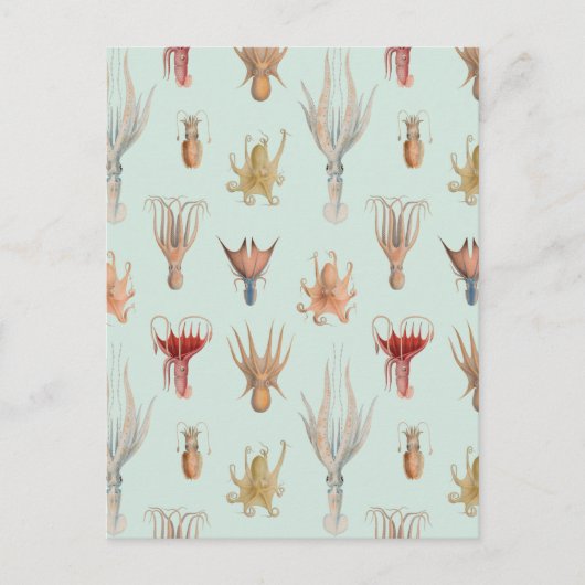 Vintage Weichtiere (blau) Postkarte (Vorderseite)