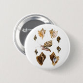 Vintage Weichtiere und Schnecken, Meeresorganismen Button (Vorne & Hinten)