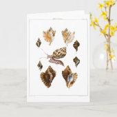 Vintage Weichtiere und Schnecken, Meeresorganismen Karte (Gelbe Blume)