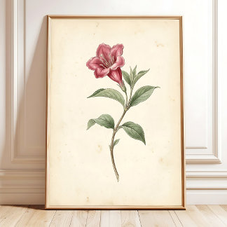 Vintage-Weigela-Botanik-Kunstleinwanddruck Poster