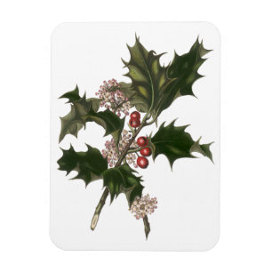 Vintage Weihnachten, grüne Stechpalmenpflanze mit  Magnet