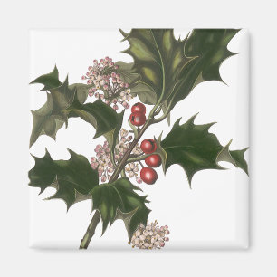 Vintage Weihnachten, grüne Stechpalmenpflanze mit Magnet