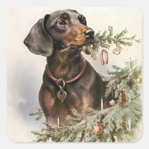 Vintage-Weihnachts-Dachshund-Hund Quadratischer Aufkleber