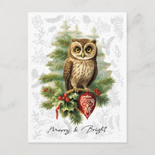 Vintage-Weihnachts-Schnee-Eule und Immergrün Postkarte
