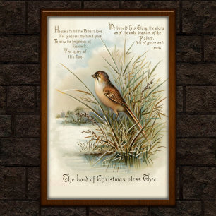 Vintage-Weihnachts-Vogel-Grußkarte-Kunst 1908 Poster