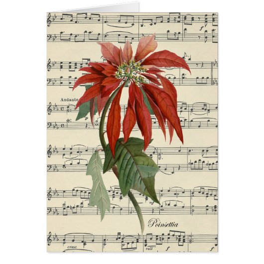 Vintage Weihnachtskarte poinsettia (Vorne)