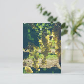 Vintage Weintrauben Postkarte (Stehend Vorderseite)