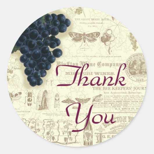 Vintage Weintraubenkollektion Vielen Dank Runder Aufkleber (Vorderseite)