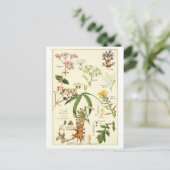 Vintage weise Illustrationspostkarten-Rezeptkarte Postkarte (Stehend Vorderseite)