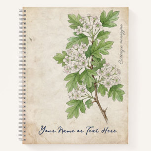 Vintage Weißdorn (Crataegus monogyna) Notizblock