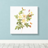 Vintage weiße Blume überzogene Leinwand (Insitu (Holzboden))