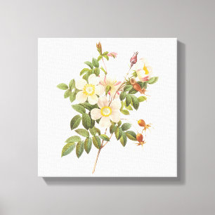 Vintage weiße Blumen eingewickelter Leinwand-Druc Leinwanddruck