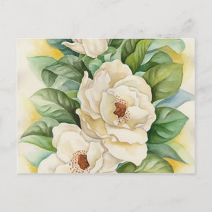 Vintage Weiße Magnolie Blüten Blumen Kunst Postkarte