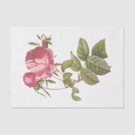 Vintage Weiße Rosen #3 Blume Blumenstrauß Seidenpapier