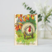 Vintage Weiße Türkei im Gras Postkarte (Stehend Vorderseite)