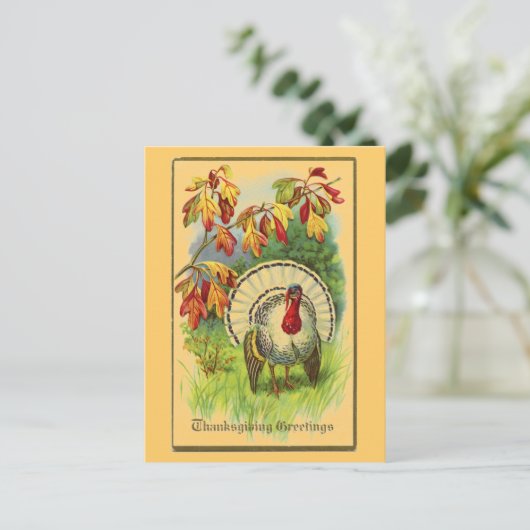 Vintage Weiße Türkei Postkarte (Stehend Vorderseite)