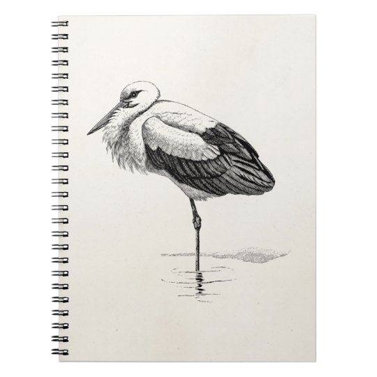 Vintage Weisser Storch Antiken Vogel Schablone Notizblock Zazzle De