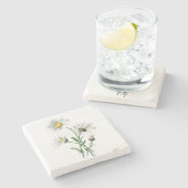 Vintage weißes Gänseblümchen-Blumen-Illustration Steinuntersetzer (Seitenansicht)