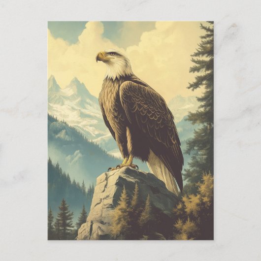 Vintage Weisskopfseeadler Alaska Postkarte (Vorderseite)