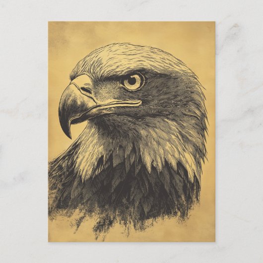 Vintage Weisskopfseeadler Portrait Raubvogel Postkarte (Vorderseite)