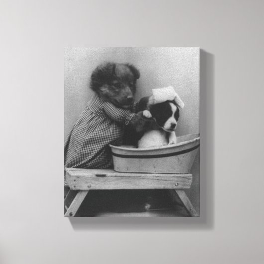 Vintage Welpen | Funny Dog Bath Foto Leinwanddruck (Vorderseite)