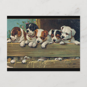 Vintage-Welpen-Illustration, Hunde-Welpen Postkarte