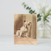 Vintage Welpen-Illustration Postkarte (Stehend Vorderseite)
