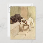 Vintage Welpen-Illustration Postkarte (Vorne/Hinten)