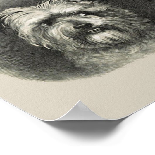 Vintage Welpen Poster (Ecke)