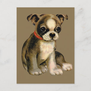 Vintage-Welpen-Postkarte Postkarte