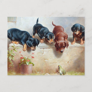 Vintage-Welpen-Postkarte Postkarte