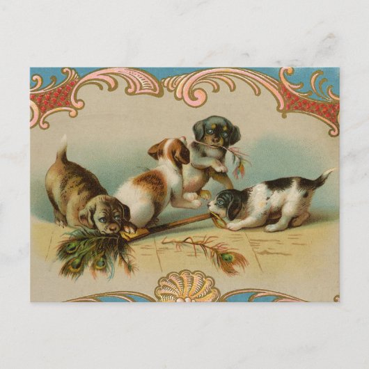 Vintage-Welpen-Postkarte Postkarte (Vorderseite)
