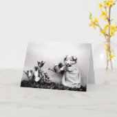 Vintage Welpen-und Kätzchen-Mitteilungskarten Karte (Gelbe Blume)