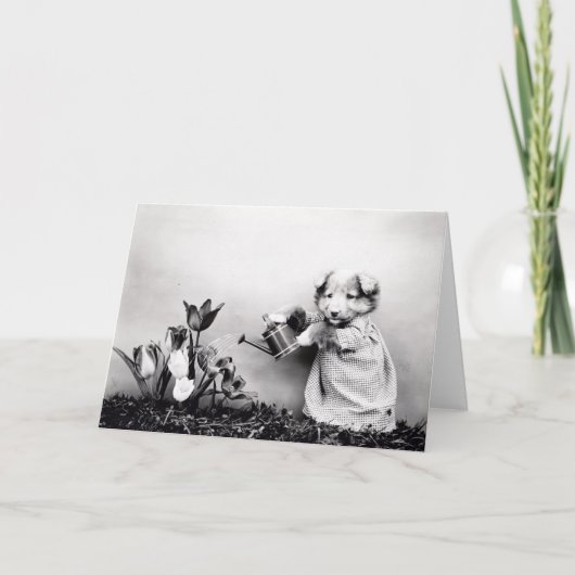 Vintage Welpen-und Kätzchen-Mitteilungskarten Karte (Vorderseite)