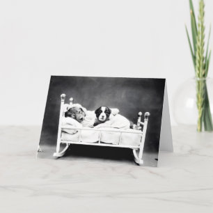 Vintage Welpen-und Kätzchen-Mitteilungskarten Karte