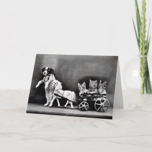 Vintage Welpen-und Kätzchen-Mitteilungskarten Karte