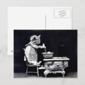 Vintage Welpen und Kätzchen Postkarte (Vorne/Hinten)