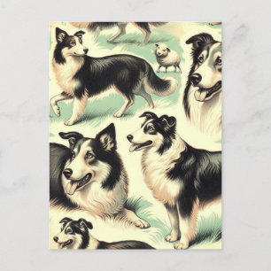 Vintage Welsh Sheepdog Nahtlos Postkarte