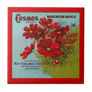 Vintage-Werbeanzeige für Cosmos-Marken-Fruchtkiste Fliese