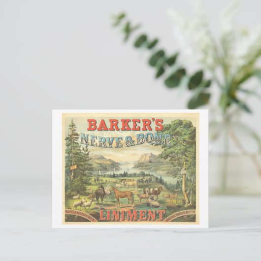 Vintage Werbemittel Patentmedizin für Pferde Postkarte (Stehend Vorderseite)