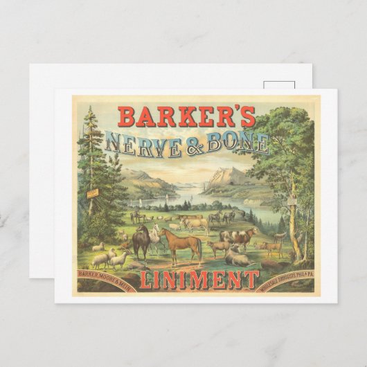 Vintage Werbemittel Patentmedizin für Pferde Postkarte (Vorne/Hinten)