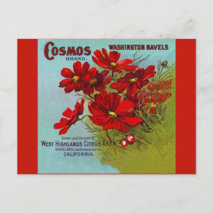 Vintage Werbung Cosmos Washington Obstlabel Feiertagspostkarte