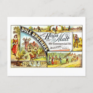 Vintage-Werbung für Dole Bros. Hopfen & Malz Postkarte