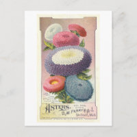 Vintage Werbung für Ferry & Co Asters