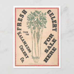 Vintage Werbung für Kalamazoo Celery Company Postkarte