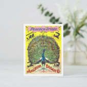 Vintage Werbung für Pfauenstil-Buggyen Postkarte (Stehend Vorderseite)