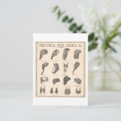 Vintage Werbung für Theaterstücke + Bärte Postkarte (Stehend Vorderseite)